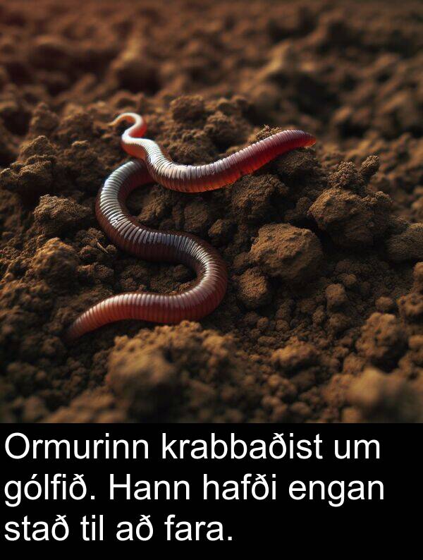 engan: Ormurinn krabbaðist um gólfið. Hann hafði engan stað til að fara.