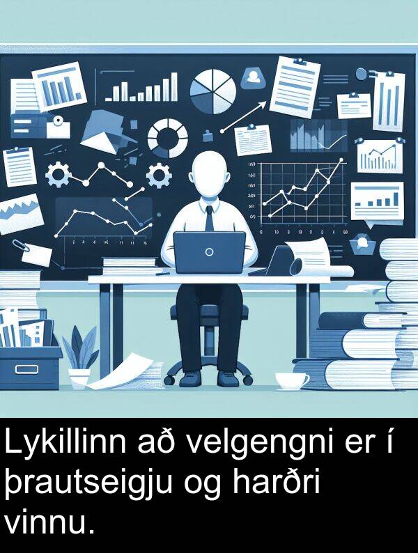 þrautseigju: Lykillinn að velgengni er í þrautseigju og harðri vinnu.