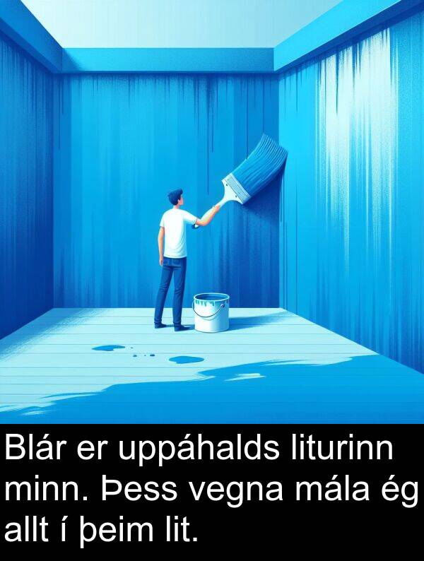 þeim: Blár er uppáhalds liturinn minn. Þess vegna mála ég allt í þeim lit.