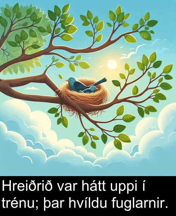þar: Hreiðrið var hátt uppi í trénu; þar hvíldu fuglarnir.