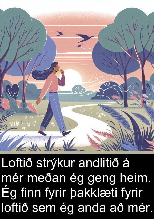 þakklæti: Loftið strýkur andlitið á mér meðan ég geng heim. Ég finn fyrir þakklæti fyrir loftið sem ég anda að mér.