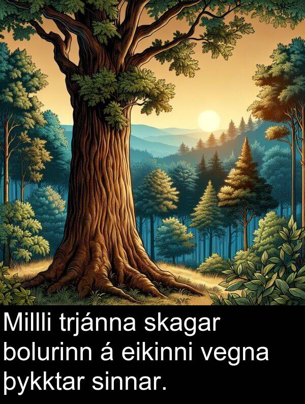 þykktar: Millli trjánna skagar bolurinn á eikinni vegna þykktar sinnar.