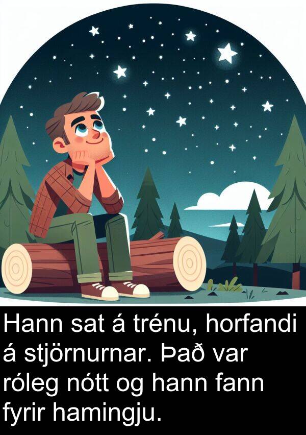 hamingju: Hann sat á trénu, horfandi á stjörnurnar. Það var róleg nótt og hann fann fyrir hamingju.