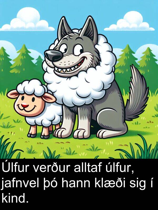 kind: Úlfur verður alltaf úlfur, jafnvel þó hann klæði sig í kind.