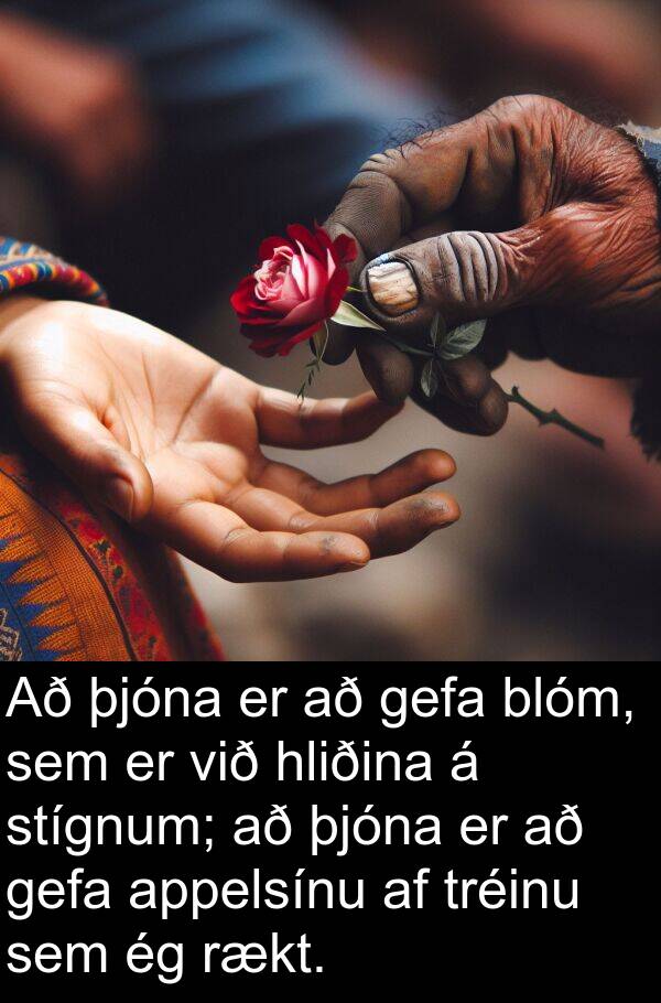þjóna: Að þjóna er að gefa blóm, sem er við hliðina á stígnum; að þjóna er að gefa appelsínu af tréinu sem ég rækt.