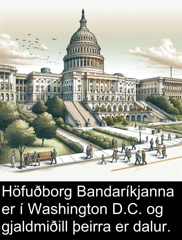 gjaldmiðill: Höfuðborg Bandaríkjanna er í Washington D.C. og gjaldmiðill þeirra er dalur.