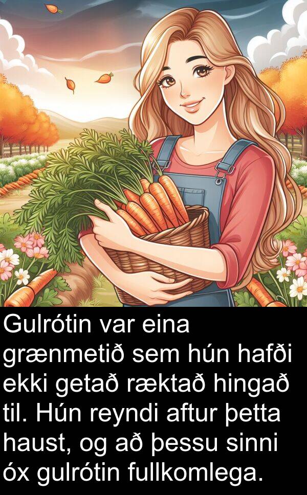 þetta: Gulrótin var eina grænmetið sem hún hafði ekki getað ræktað hingað til. Hún reyndi aftur þetta haust, og að þessu sinni óx gulrótin fullkomlega.