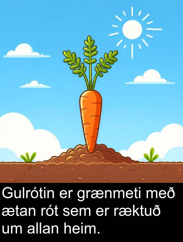ætan: Gulrótin er grænmeti með ætan rót sem er ræktuð um allan heim.