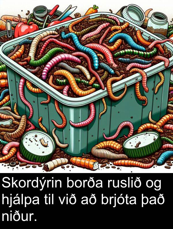 brjóta: Skordýrin borða ruslið og hjálpa til við að brjóta það niður.