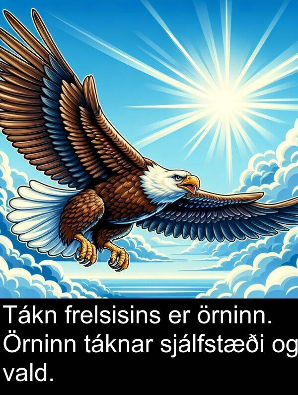 örninn: Tákn frelsisins er örninn. Örninn táknar sjálfstæði og vald.