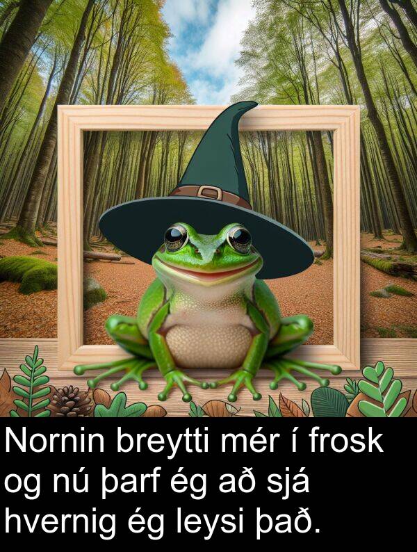 þarf: Nornin breytti mér í frosk og nú þarf ég að sjá hvernig ég leysi það.