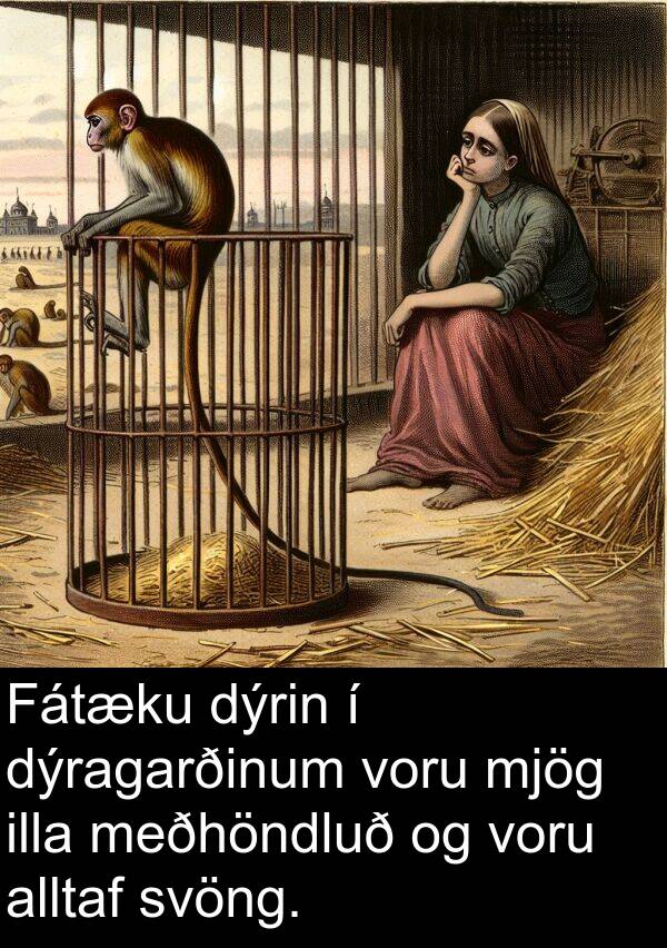 dýrin: Fátæku dýrin í dýragarðinum voru mjög illa meðhöndluð og voru alltaf svöng.