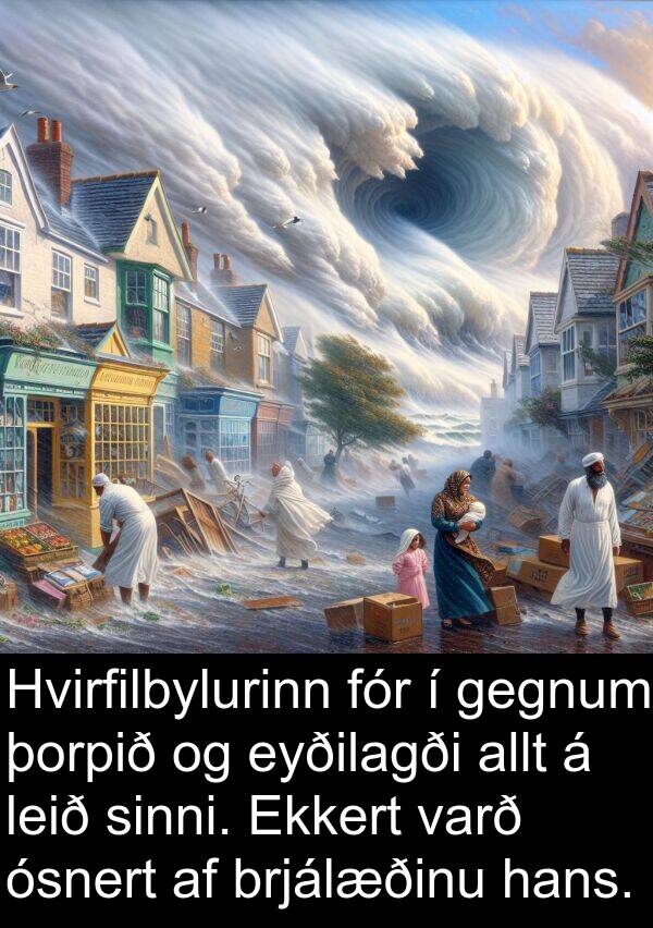 þorpið: Hvirfilbylurinn fór í gegnum þorpið og eyðilagði allt á leið sinni. Ekkert varð ósnert af brjálæðinu hans.