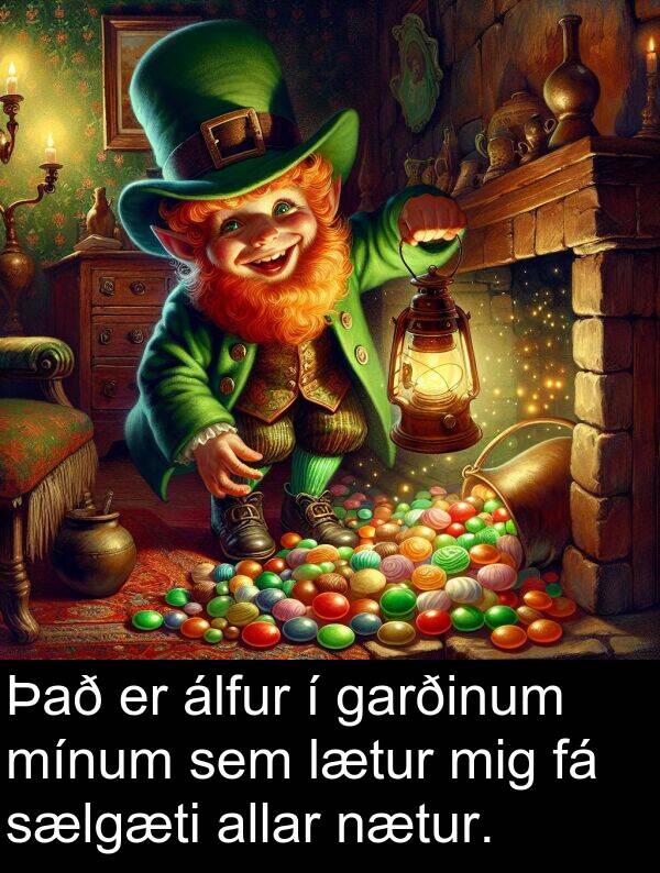 álfur: Það er álfur í garðinum mínum sem lætur mig fá sælgæti allar nætur.