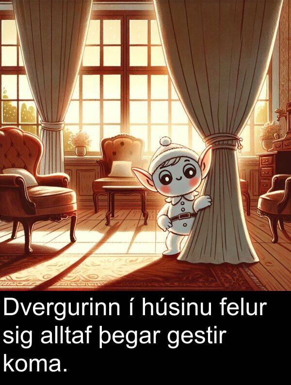 þegar: Dvergurinn í húsinu felur sig alltaf þegar gestir koma.