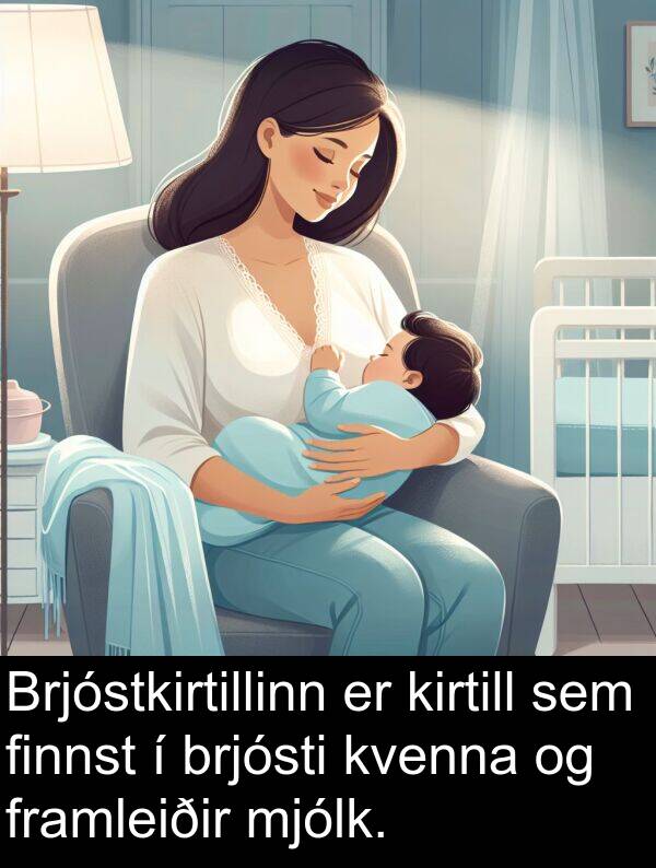 finnst: Brjóstkirtillinn er kirtill sem finnst í brjósti kvenna og framleiðir mjólk.