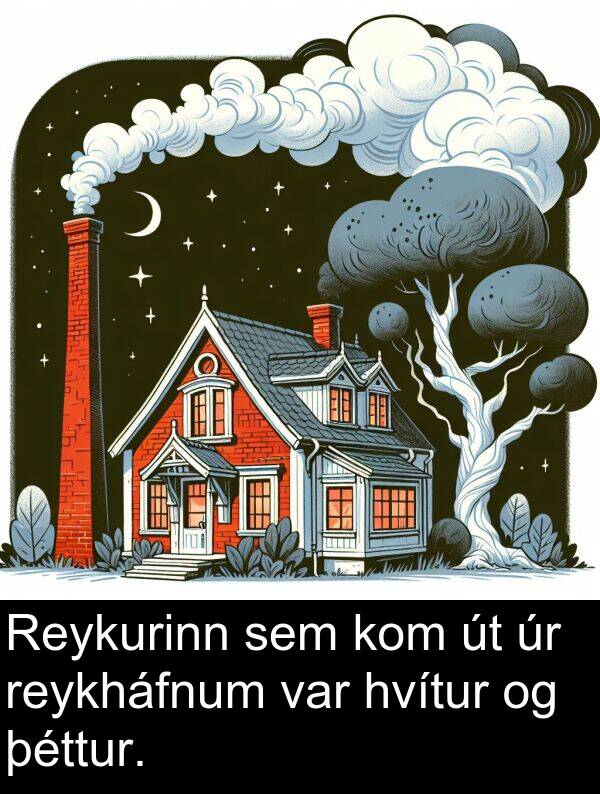 þéttur: Reykurinn sem kom út úr reykháfnum var hvítur og þéttur.