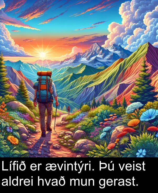 ævintýri: Lífið er ævintýri. Þú veist aldrei hvað mun gerast.