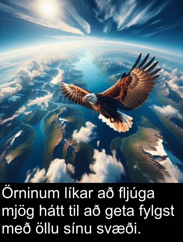 öllu: Örninum líkar að fljúga mjög hátt til að geta fylgst með öllu sínu svæði.