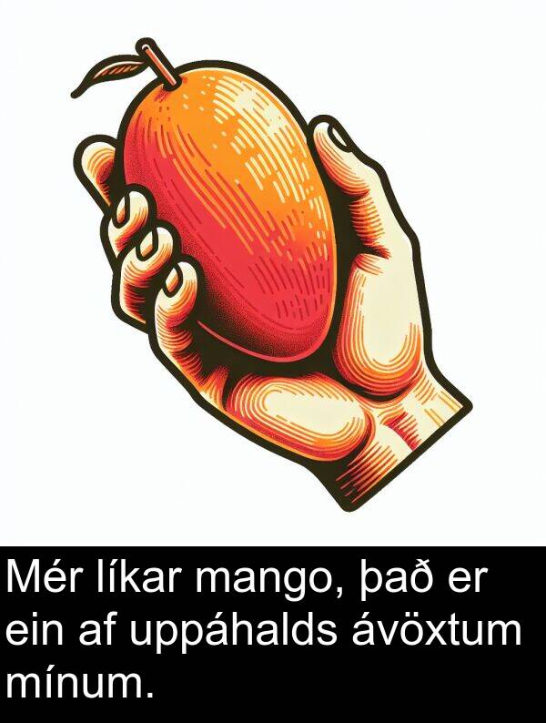 það: Mér líkar mango, það er ein af uppáhalds ávöxtum mínum.