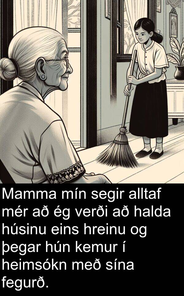 kemur: Mamma mín segir alltaf mér að ég verði að halda húsinu eins hreinu og þegar hún kemur í heimsókn með sína fegurð.