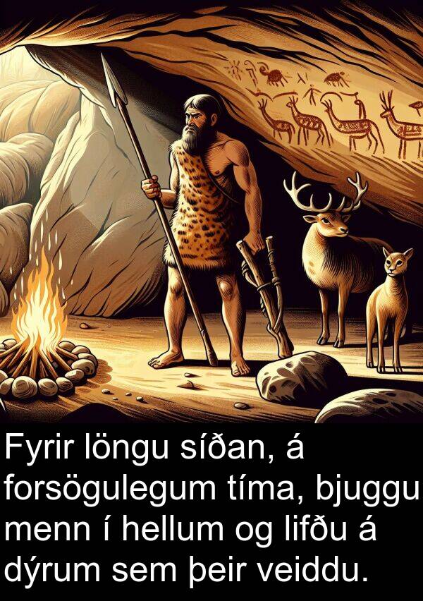 þeir: Fyrir löngu síðan, á forsögulegum tíma, bjuggu menn í hellum og lifðu á dýrum sem þeir veiddu.
