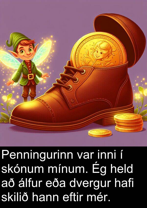álfur: Penningurinn var inni í skónum mínum. Ég held að álfur eða dvergur hafi skilið hann eftir mér.