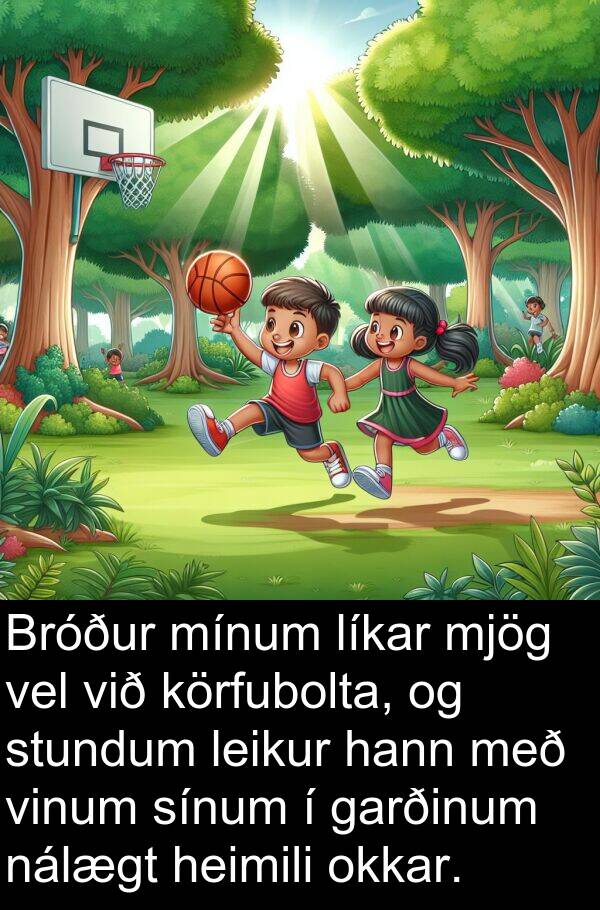 heimili: Bróður mínum líkar mjög vel við körfubolta, og stundum leikur hann með vinum sínum í garðinum nálægt heimili okkar.