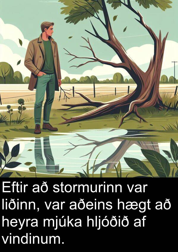 liðinn: Eftir að stormurinn var liðinn, var aðeins hægt að heyra mjúka hljóðið af vindinum.