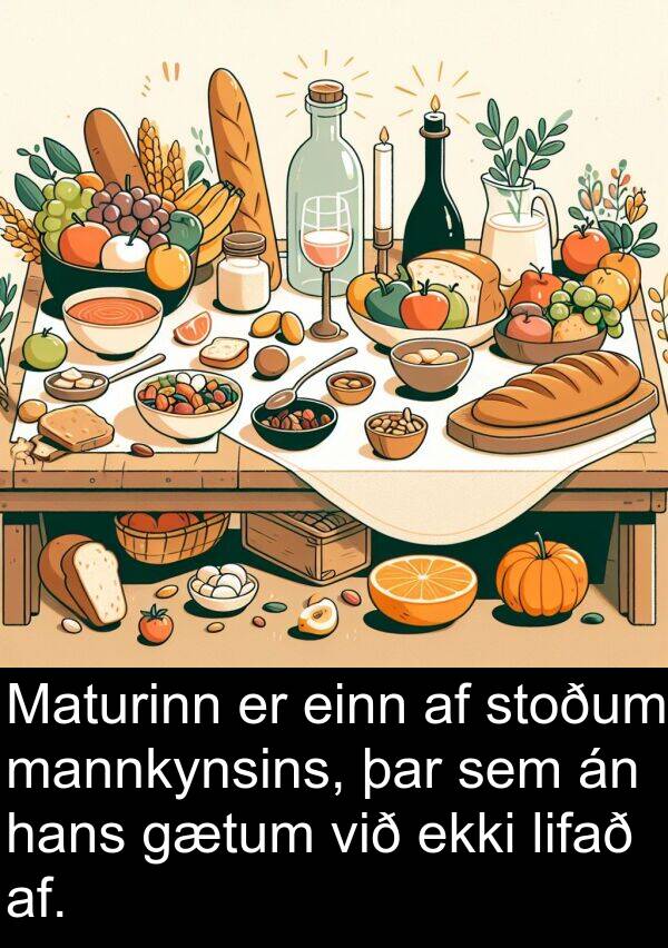 einn: Maturinn er einn af stoðum mannkynsins, þar sem án hans gætum við ekki lifað af.
