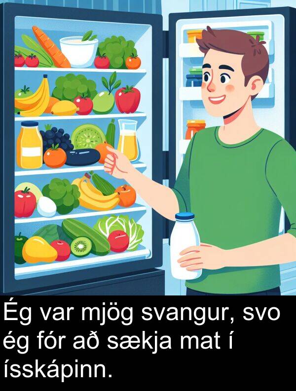 mat: Ég var mjög svangur, svo ég fór að sækja mat í ísskápinn.