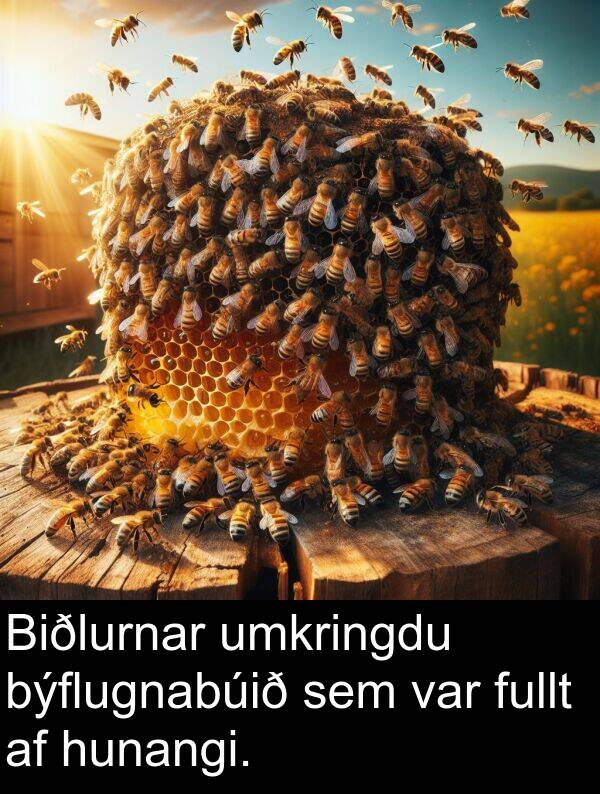 býflugnabúið: Biðlurnar umkringdu býflugnabúið sem var fullt af hunangi.