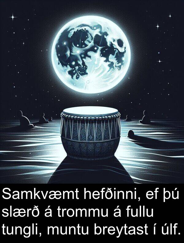 úlf: Samkvæmt hefðinni, ef þú slærð á trommu á fullu tungli, muntu breytast í úlf.