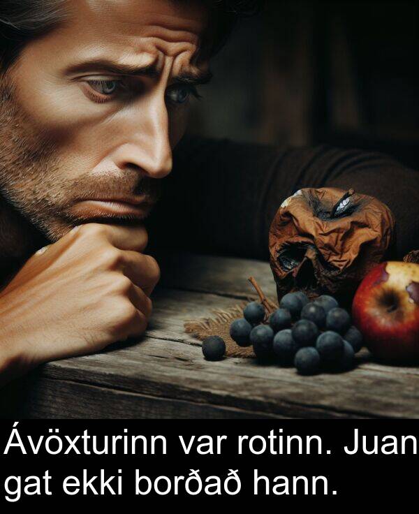 hann: Ávöxturinn var rotinn. Juan gat ekki borðað hann.