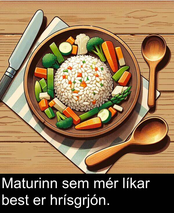 mér: Maturinn sem mér líkar best er hrísgrjón.