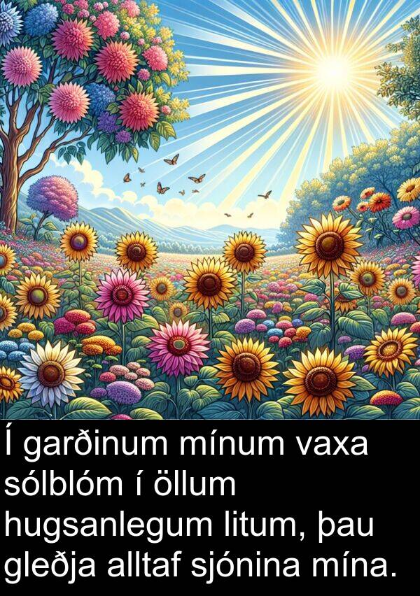 öllum: Í garðinum mínum vaxa sólblóm í öllum hugsanlegum litum, þau gleðja alltaf sjónina mína.