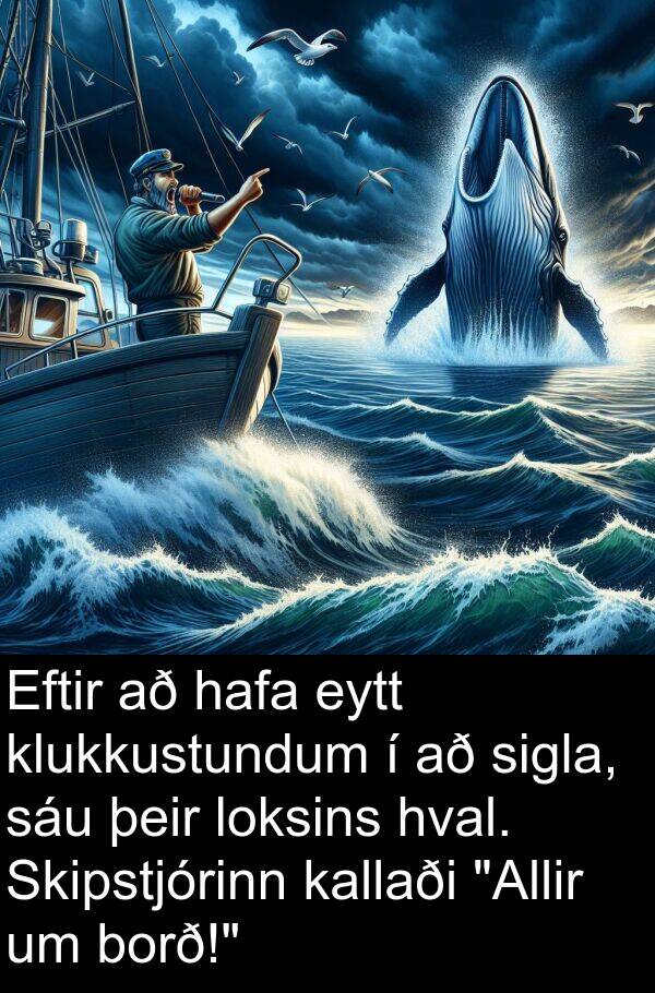 þeir: Eftir að hafa eytt klukkustundum í að sigla, sáu þeir loksins hval. Skipstjórinn kallaði "Allir um borð!"