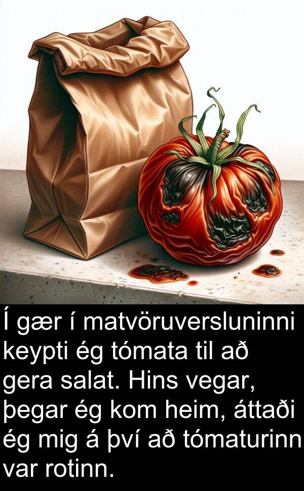 vegar: Í gær í matvöruversluninni keypti ég tómata til að gera salat. Hins vegar, þegar ég kom heim, áttaði ég mig á því að tómaturinn var rotinn.