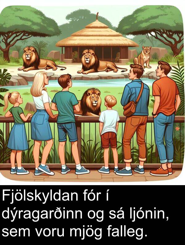 falleg: Fjölskyldan fór í dýragarðinn og sá ljónin, sem voru mjög falleg.