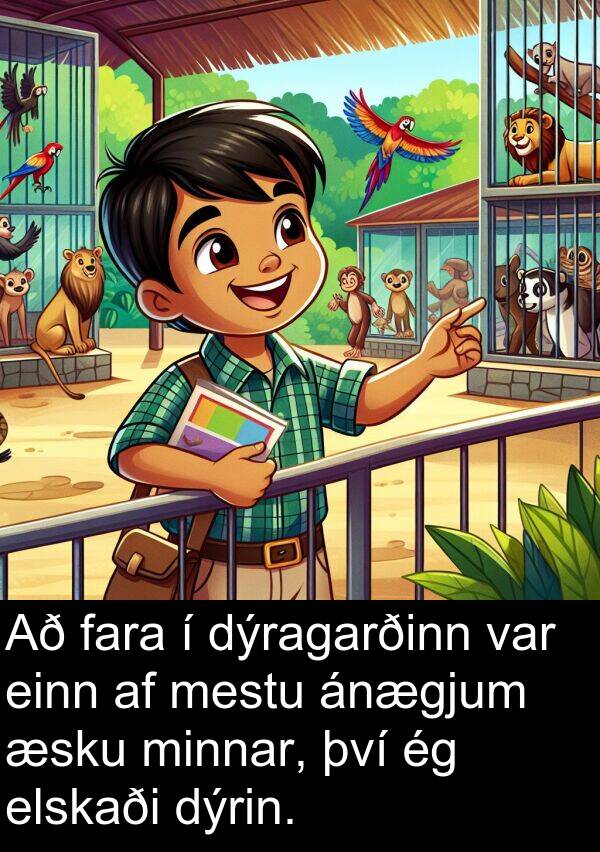 einn: Að fara í dýragarðinn var einn af mestu ánægjum æsku minnar, því ég elskaði dýrin.
