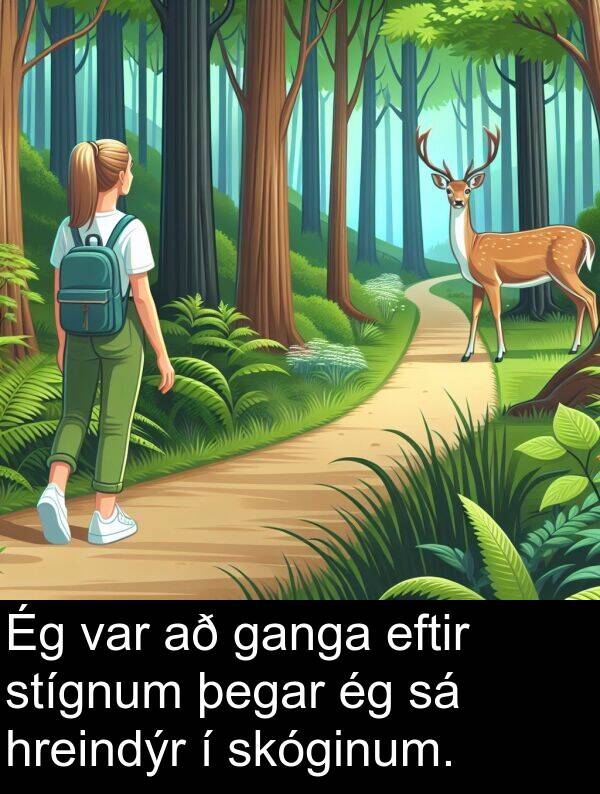 ganga: Ég var að ganga eftir stígnum þegar ég sá hreindýr í skóginum.
