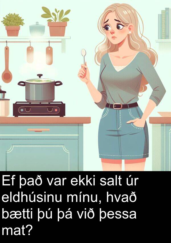 þessa: Ef það var ekki salt úr eldhúsinu mínu, hvað bætti þú þá við þessa mat?