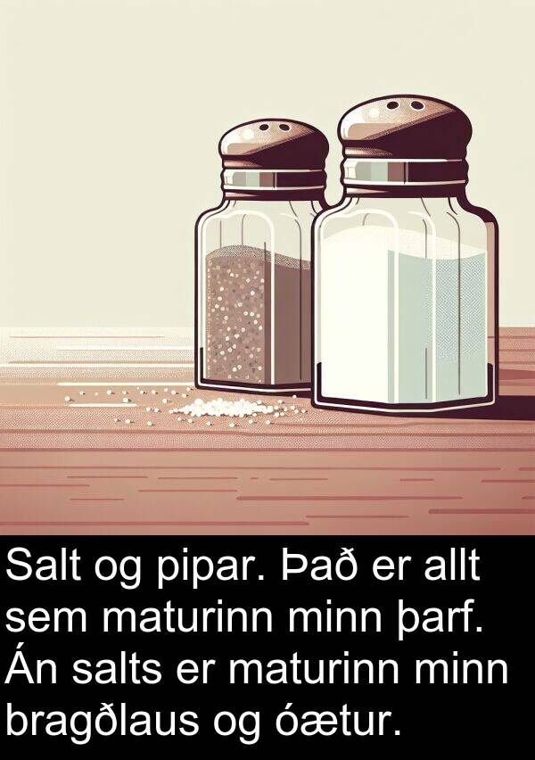 maturinn: Salt og pipar. Það er allt sem maturinn minn þarf. Án salts er maturinn minn bragðlaus og óætur.