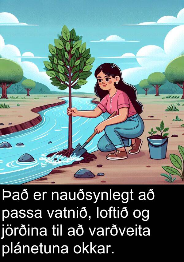 varðveita: Það er nauðsynlegt að passa vatnið, loftið og jörðina til að varðveita plánetuna okkar.