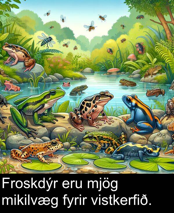 eru: Froskdýr eru mjög mikilvæg fyrir vistkerfið.