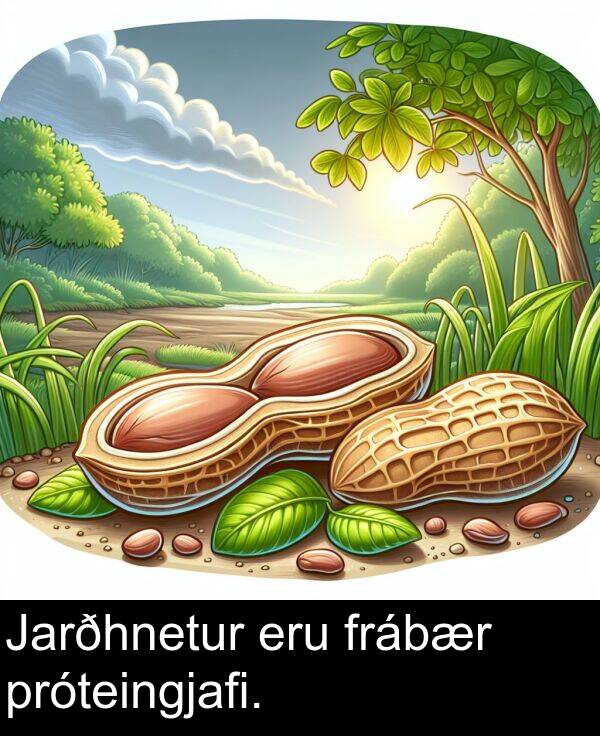 próteingjafi: Jarðhnetur eru frábær próteingjafi.