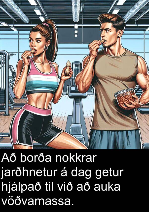 dag: Að borða nokkrar jarðhnetur á dag getur hjálpað til við að auka vöðvamassa.