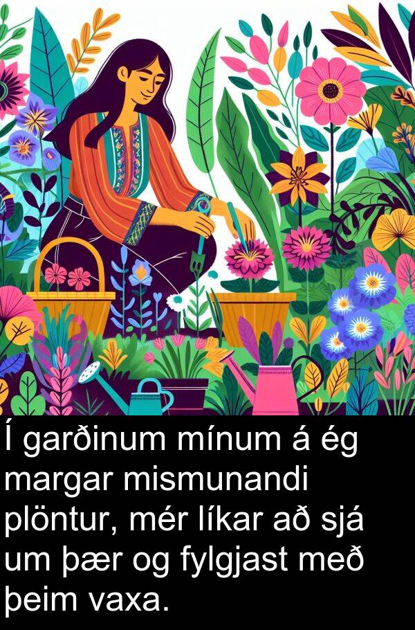 þeim: Í garðinum mínum á ég margar mismunandi plöntur, mér líkar að sjá um þær og fylgjast með þeim vaxa.
