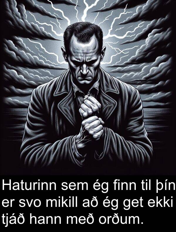 þín: Haturinn sem ég finn til þín er svo mikill að ég get ekki tjáð hann með orðum.