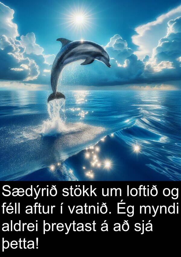 þreytast: Sædýrið stökk um loftið og féll aftur í vatnið. Ég myndi aldrei þreytast á að sjá þetta!